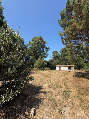 Terreno Con Mejora En Pinamar Norte 600m2