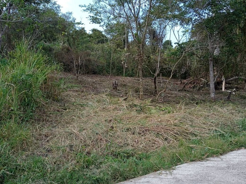Imagen 3 de 8 de Lote De Terreno En El Valle 1.068mts