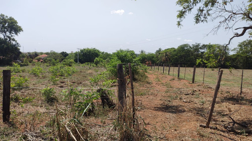 Sítio No Rio Tietê Com 2,45 Alqueires Em Pereira Barreto-sp
