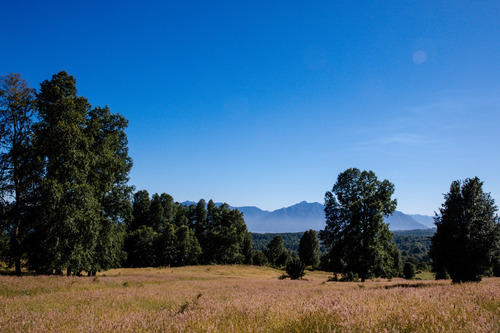 Proyecto Gran Roble Pucon Con Vista Al Volcan Y Lago