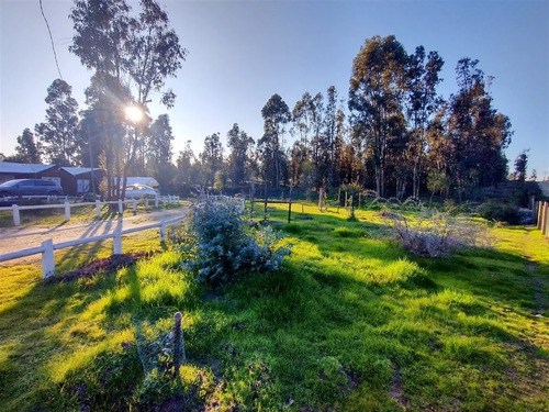 Venta Parcela 5.000 M2 Con Casa 5d/1b En Litueche