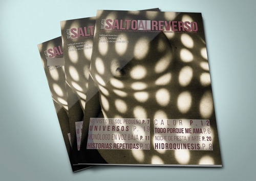 Revista #8 Salto Al Reverso (descarga Digital)