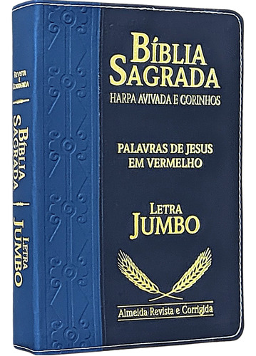 Bíblia Sagrada - Evangélica Masculina Letra Hipergigante - Preto/azul