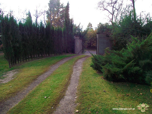 Casa En Venta - 6 Dormitorios 4 Baños - Mendoza