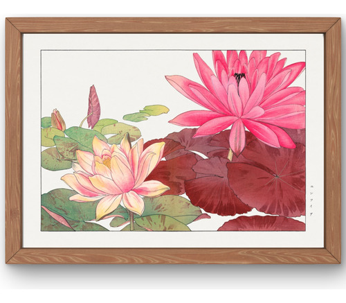 Lamina Imprimible Arte Floral Nymphaea Lotus Seiyo Soka Zufu