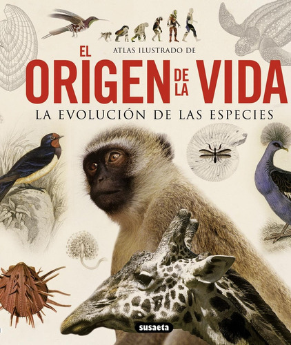 Atlas Ilustrado De El Origen De La Vida La Evolucion De Las 