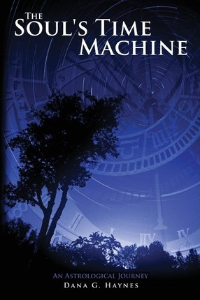 Libro The Soul's Time Machine - Dana G Haynes