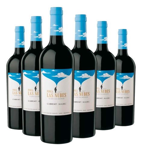 Vino Finca Las Nubes Cabernet Malbec 6x750cc Cafayate Salta