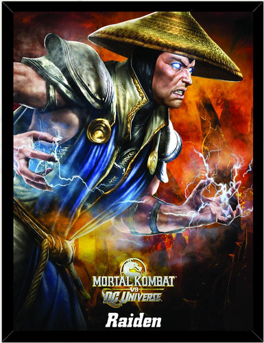 Cuadro Decorativo Mortal Kombat Raiden Medidas 30x40 Cm