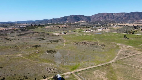 Imagen 4 de 4 de 1 Hectárea Zona Tierra Santa En Valle De Guadalupe