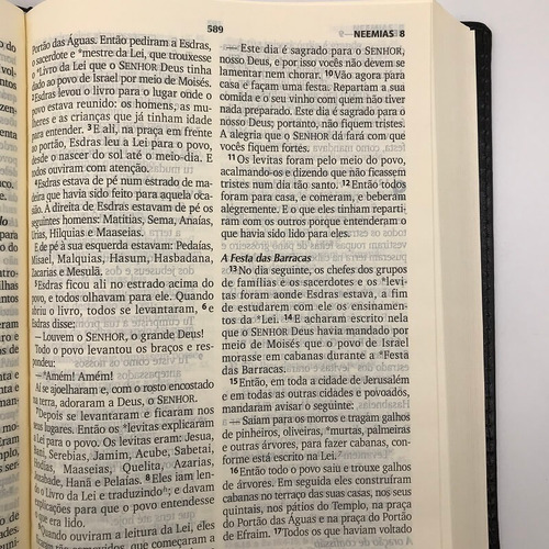 Bíblia Sagrada Nova Tradução Linguagem De Hoje Letra Grande