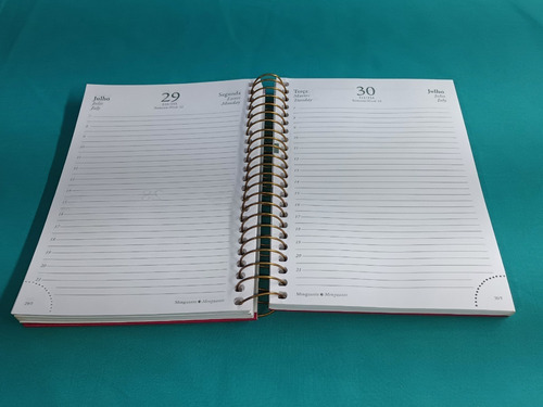 Agenda Napoli Año 2019 (Usado)
