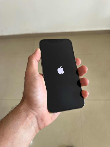 iPhone 12 Pro 256gb Liberado Color Grafito Plateado Lujo