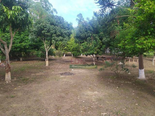 Imagem 1 de 18 de Chácara Com 3 Dormitórios À Venda, 5000 M² Por R$ 380.000,00 - Borda Do Campo - Cunha/sp - Ch0587