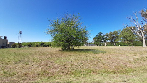 Imagen 4 de 22 de Lote Terreno 93 En Venta. Barrio La Elina, Comarcas De Luján. Country. Zona Oeste