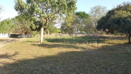 Imagen 3 de 17 de Finca En Venta En Baranoa Baranoa. Cod 19439