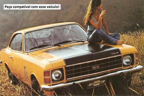 Filtro Combustível Opala 84 85 86 87 88 89 90 91 92 Tecfil