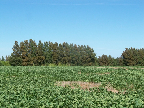 Imagen 6 de 10 de Chacras Venta Carmelo Paraje Colonia Estrella