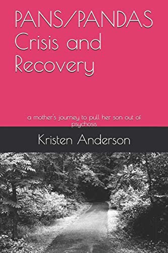 Crisis And Recovery: A Motherøs Journey To Pull Her Son Out Of Psychosis, De Anderson, Ms. Kristen. Editorial Independently Published, Tapa Blanda En Inglés