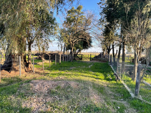 18 Hectareas En San Miguel Del Monte