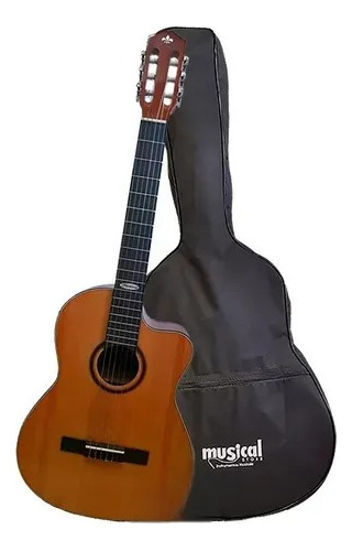 Violão Nylon Strinberg Sc200c Natural Capa Standard Promoção