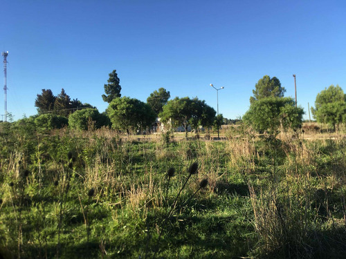 Imagen 7 de 12 de Terrenos En Venta Tapalque Sobre Avd.
