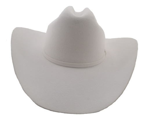 Imagen 3 de 4 de Sombrero Texana 4 X Marca Stetson Blanco Lana Pelo De Búfalo