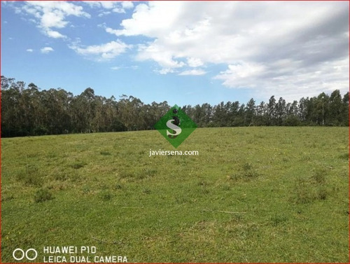 Venta De Chacra En Montevideo, 3,5 Hectareas En Melilla- Ref: 167351