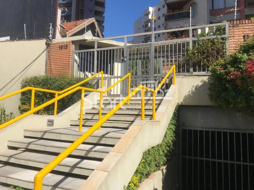 Imagem 1 de 29 de Apartamento À Venda Em Cambuí - Ap008288