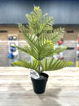 Comprar Pino Norfolk Planta Artificial Decoracion 60 Cm Con Maceta