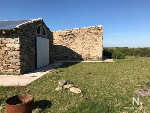 Imagen 5 de 28 de Se Vende Campo De 130 Has, En Maldonado