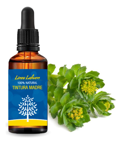 Rhodiola En Gotas 50 Ml Extracto Puro