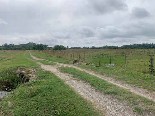 Imagen 3 de 12 de Campo En Venta En Punta Indio - Dacal Bienes Raices