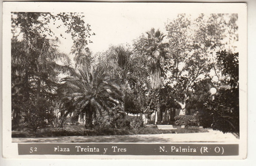 1947 Postal Nueva Palmira Fotografia Plaza Treinta Y Tres 