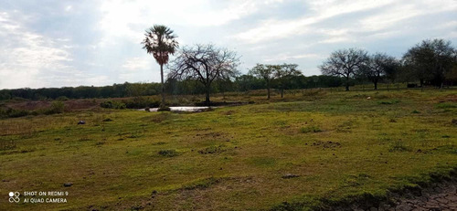 Imagen 8 de 12 de Campo Ganadero En Manuel Belgrano Formosa 944 Hectareas