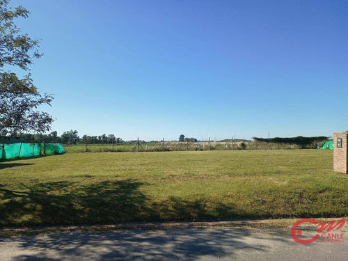 Venta Terreno / Lote Ingeniero Maschwitz