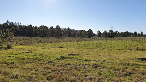 Terreno Lotes Federacion - Entre Rios 1080m2 -a 1,5km De Termas!