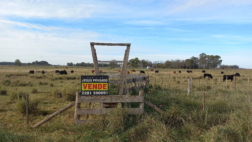 Imagen 24 de 30 de En Venta Chacra En Tapalque. Vendida