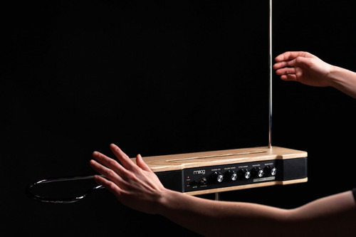 Imagen 7 de 10 de Etherwave Theremin Análogo De Moog Music Con Salidas Cv