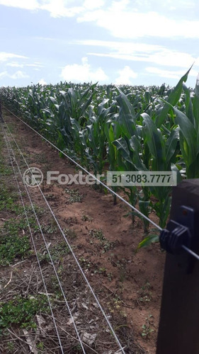 Imagem 11 de 15 de Fazenda / Sítio / Chácara, 2 Dormitórios, 504 M², Sítio São José - 218392