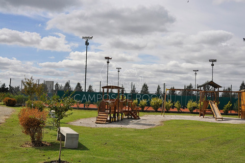 Imagen 5 de 7 de Lotes Terrenos En Venta Campos De Roca 2 Escritura