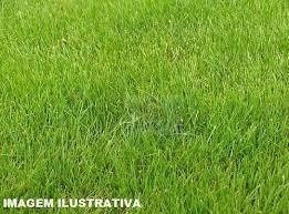 Imagem 1 de 1 de Lote 100% Plano Em Mairinque!!!