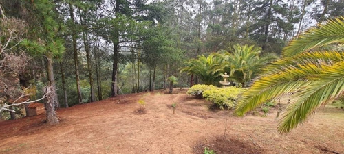 Casa En Venta En Algarrobo