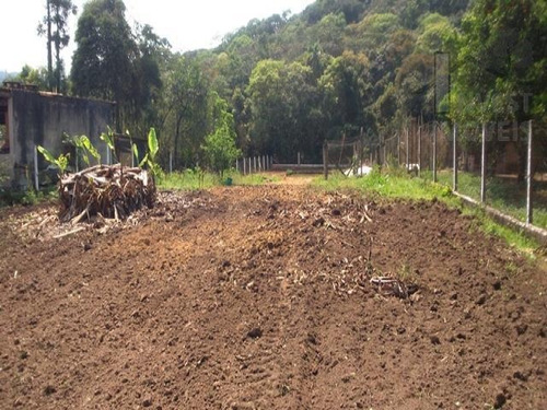 Imagem 3 de 13 de Cód 3271 - Lindo Terreno Plano Com Lago - 3271