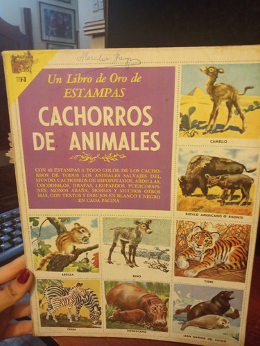 Cachorros De Animales: Un Libro De Estampas