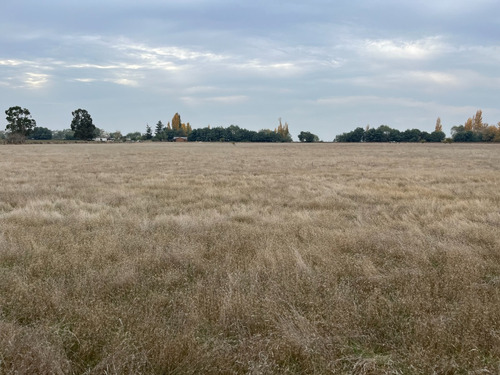 Terreno 10.000 M2 A 5 Km Cruce Retiro Con La Ruta 5 Sur