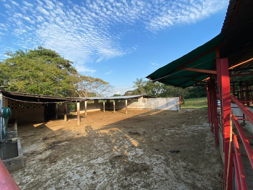 Imagen 7 de 13 de Finca En Santa Barbara De Barinas