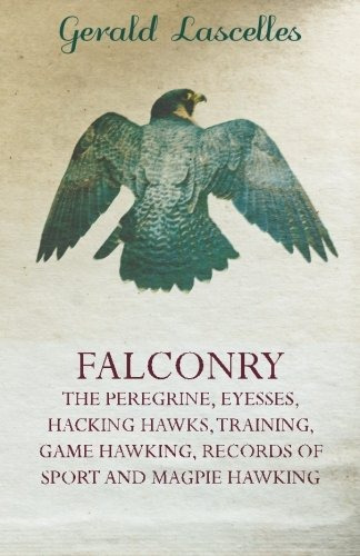 Falconry  The Peregrine, Eyesses, Hacking Hawks, Training, G