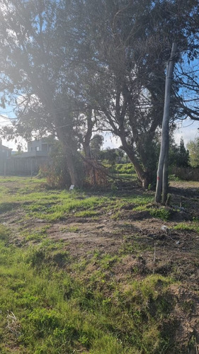 Imagen 5 de 10 de Lote En Venta En Balneario Buenos Aires (ref: Bpv-8158)
