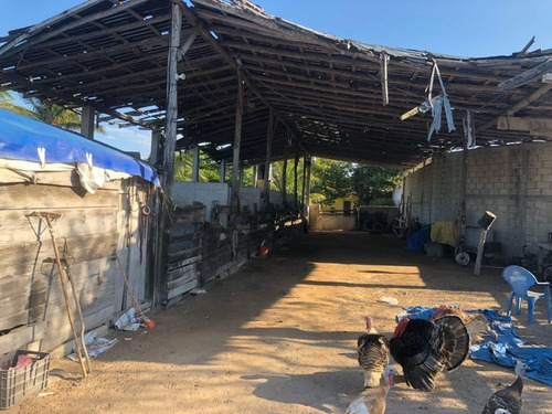 Imagen 7 de 16 de Terreno En Venta En Puerto Progreso, Yucatán